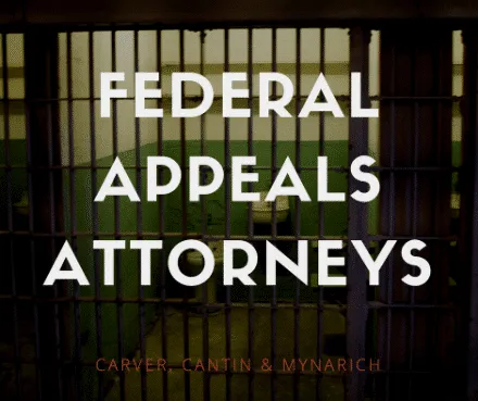 Federal Appeals Attorneys graphic over a barred prison window