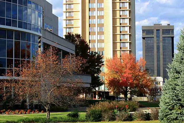 Office towers behind autumn trees
